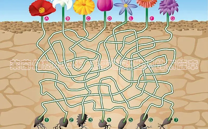 恒行6登录入口注册